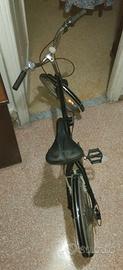 Bicicletta Cinzia car Bike