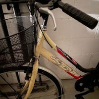 Bicicletta esperia con cestino