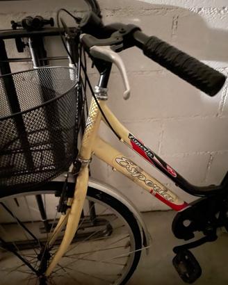 Bicicletta esperia con cestino