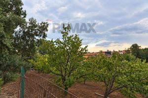 Terreno - Santa Venerina