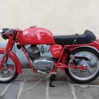 Moto guzzi stornello sport