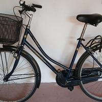 bicicletta da passeggio