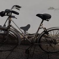 bicicletta vintage Regina di Romagna