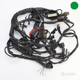 Impianto elettrico EURO 3 MV AGUSTA Brutale 910