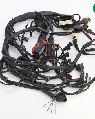 Impianto elettrico EURO 3 MV AGUSTA Brutale 910