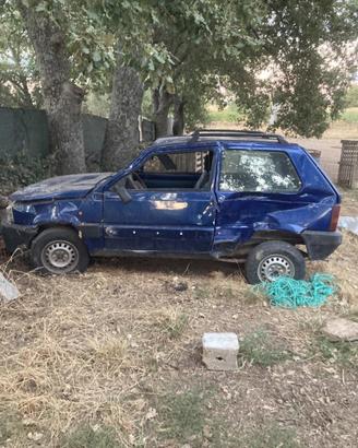 Panda 4x4 incidentata