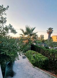 Casa vacanze carini vicino al mare