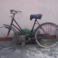 Bici, telai e altre componenti