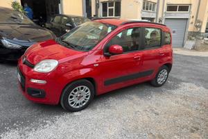 fiat panda 1.2  unicopropr. 2016 Rossa 