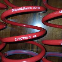 molle assetto fiat grande punto 199