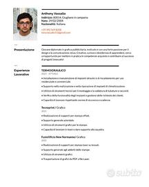 Va bene tutto eccetto call center o venditore