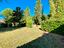 Immagine 19