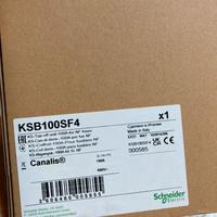 Spina industriale KSB100SF4