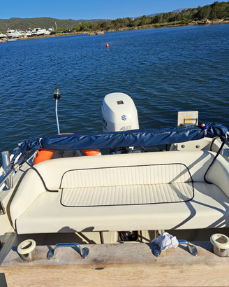 Boston whaler 17