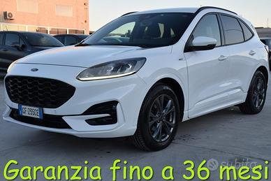 FORD Kuga 1.5 EcoBlue 120 CV aut. 2WD ST-Line