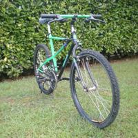 Mountain bike vintage