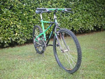 Mountain bike vintage