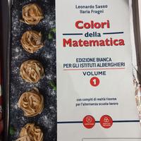 Sasso-Fragni-Colori della matematica- Vol. 1