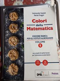 Sasso-Fragni-Colori della matematica- Vol. 1
