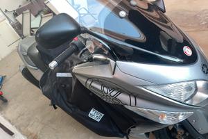 Parabrezza alto / Cupolino T-MAX 500 (2007 - 2011)