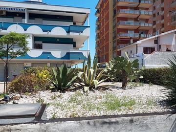 Montesilvano mare fino al 14 luglio