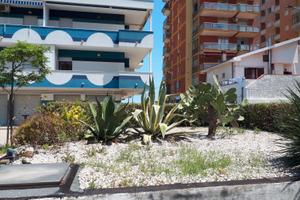 Montesilvano mare fino al 14 luglio