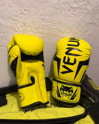 Set Completo Kickboxing / Muay Thai / MMA VENUM