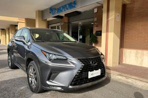 Lexus NX 300h 2.5 Business 4wd cvt *Promo SD 2026*