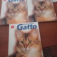 LIBRI SUI GATTI