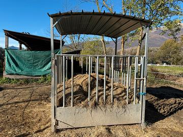 Mangiatoia per cavalli