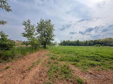 TER. AGRICOLO A LESMO