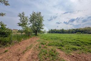 TER. AGRICOLO A LESMO
