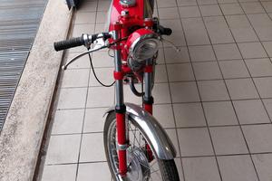 corsarino moto morini