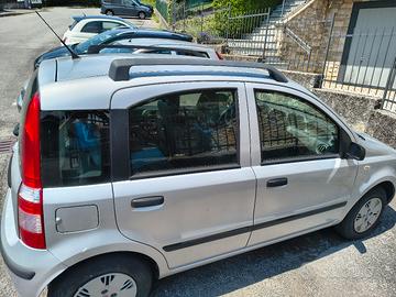 Panda 1.2 dynamic 