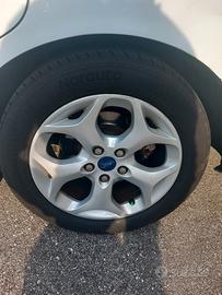 Cerchi con gomme per C-max