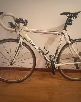 Wilier mortirolo