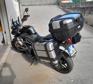 Tiger 800