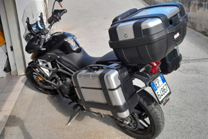 Tiger 800