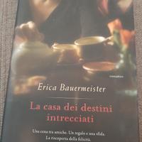 La casa dei destini intrecciati 