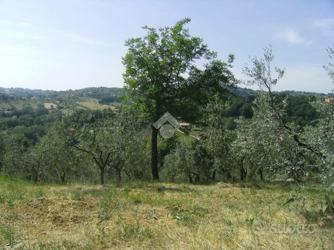 TER. AGRICOLO A POGGIO CATINO - Vista 2