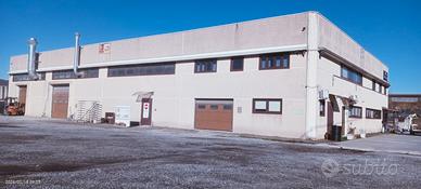 Capannone industriale 1000 mq Piano Lago Mangone