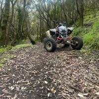 Quad polaris