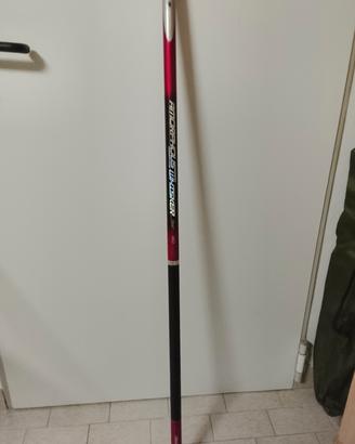 Daiwa Amourphous wisker 9 m
