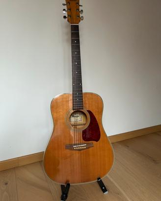 Chitarra acustica Ibanez