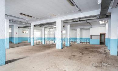 Magazzino Roma [V03/26VCG]