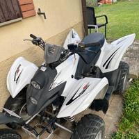 quad ligier perfetto