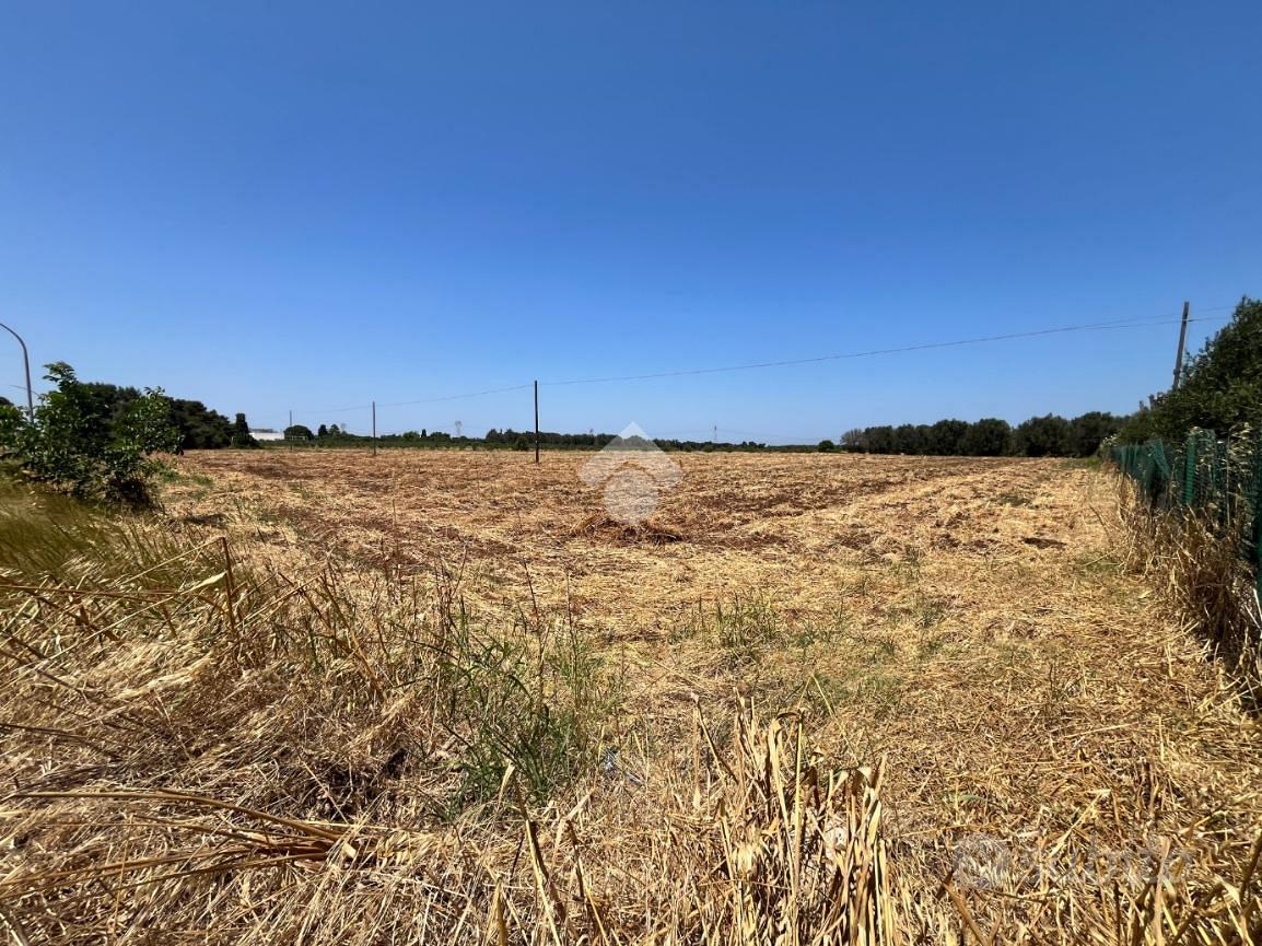 TER. AGRICOLO A MESAGNE - Vista 4