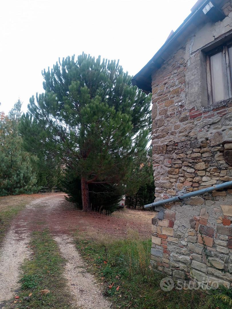 casale,rustico Montefalcone Appennino (Marche) - Altro