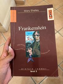 Libro Frankenstein Mary Shelley