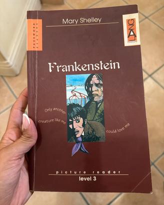 Libro Frankenstein Mary Shelley